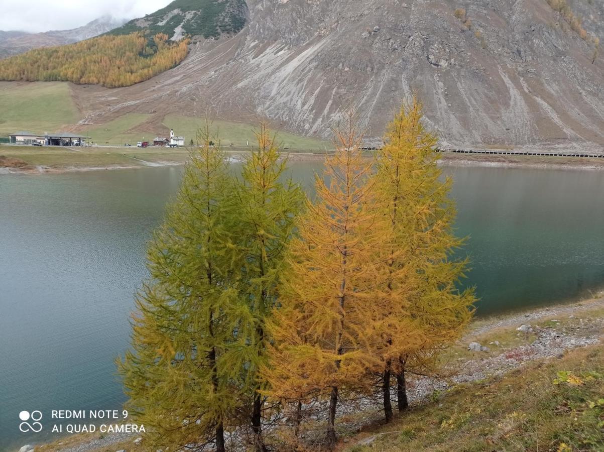 Canton 520 Camera Matrimoniale E Appartamento Self Check In Livigno Exterior foto