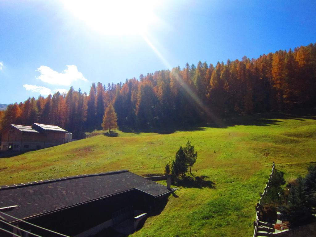 Canton 520 Camera Matrimoniale E Appartamento Self Check In Livigno Exterior foto
